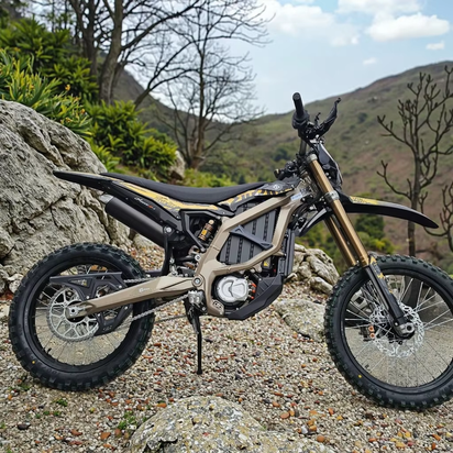 2025 Ultra Bee HP - E-Bike™